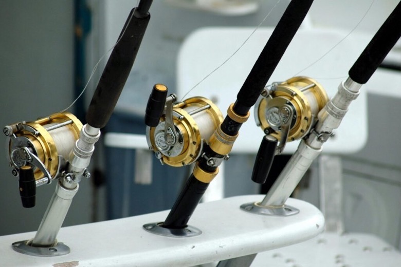 Fishing rods and reels mounted on a boat